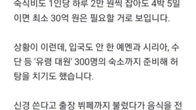 잼버리 추가 숙식비만 수십억