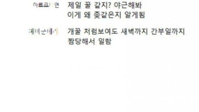 군필들이 뽑은 군대 헬보직 TOP20