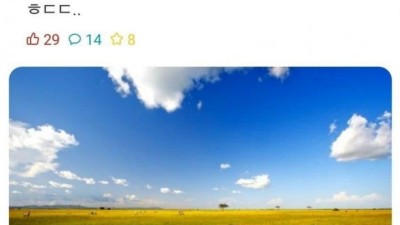 사자의 위장능력ㄷㄷ