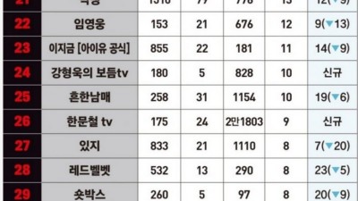 2023 아이돌 포함 유튜브 셀럽 순위