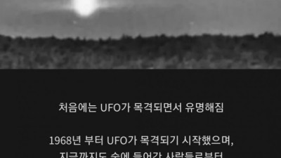 괴담괴담 세계에서 제일 괴이한 숲