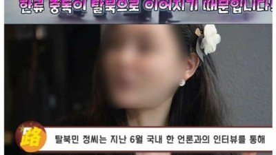 북한이 한류에 발작하는 이유.