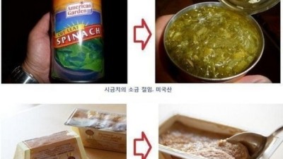 세계 각국의 통조림 종류