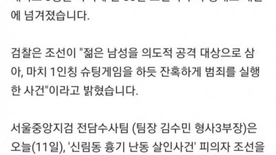 신림동 흉기난동범 조선은 게임중독.jpg