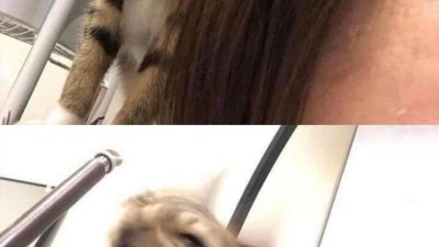집사 머리 냄새 킁킁 맡았다가 썩은 똥내(?)